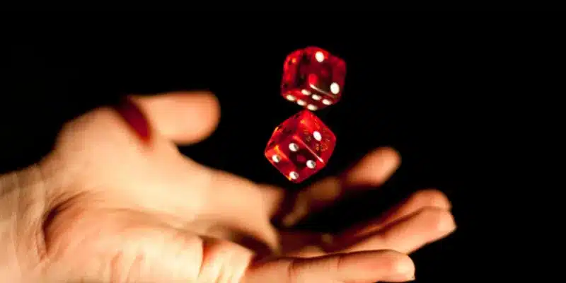 Kinh nghiệm và lời khuyên từ chuyên gia