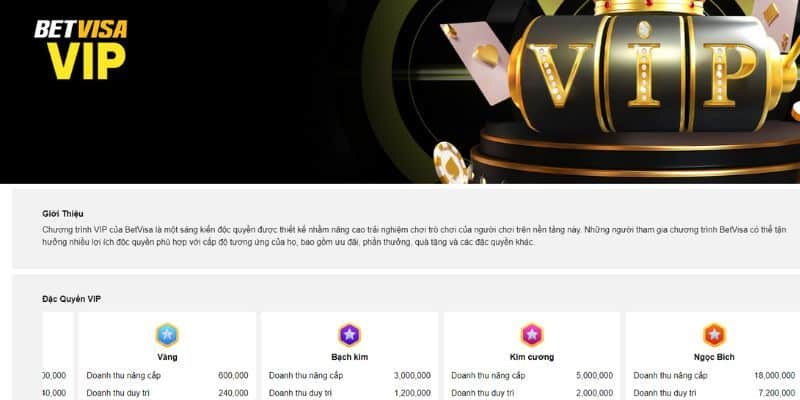 bet visa bet visa