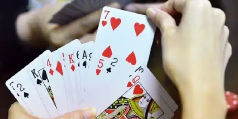 Cách dụ heo đỏ để chặt bằng cách đánh bài nhỏ